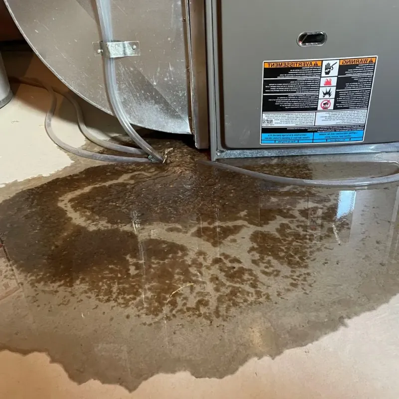 Pipe Burst and Leak Restoration in Clarinda, IA